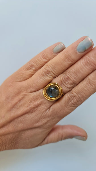 מעגלים עין הנמר בזהב